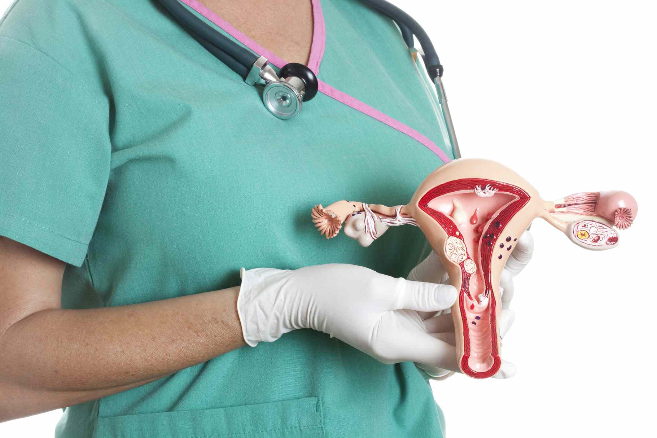 Sexual and Reproductive Function