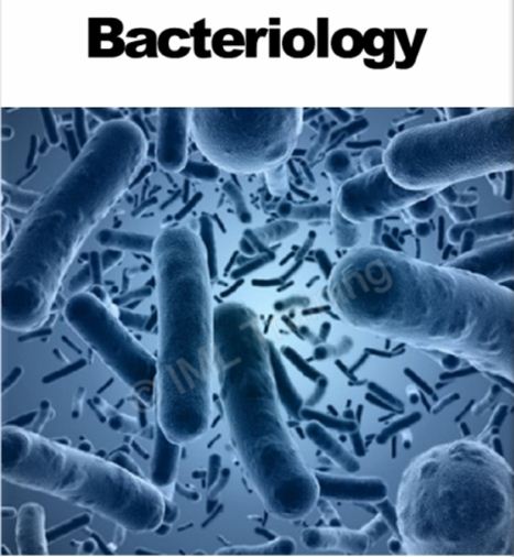 Bacteriology