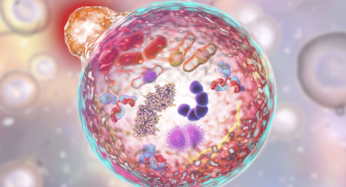 Biochemistry of the Cell