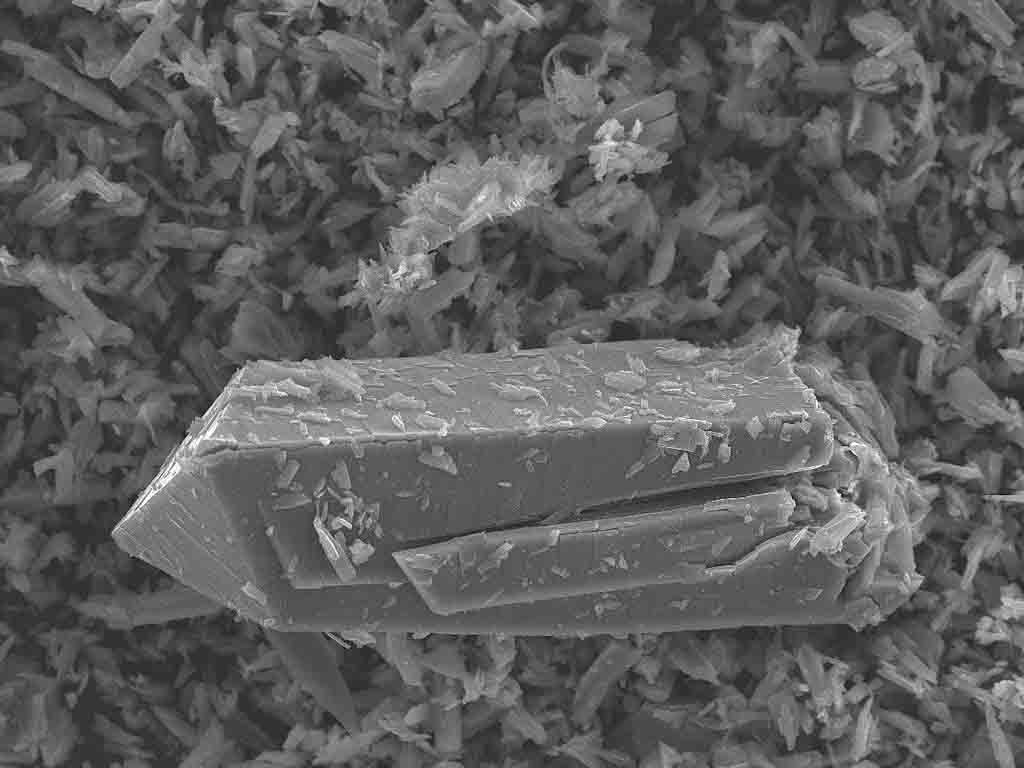 Zinc Complexes