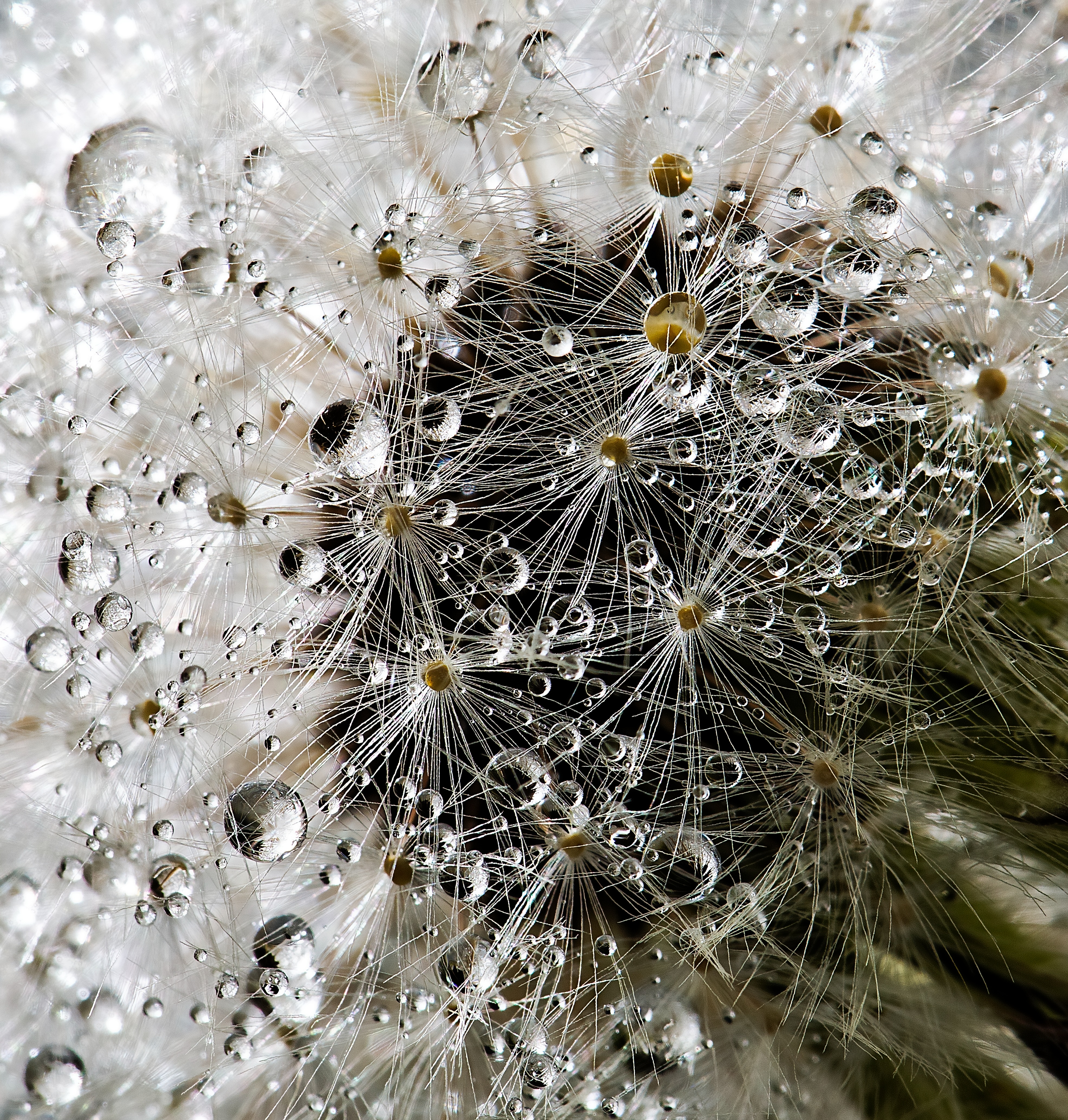 High-Dimensional Approximation