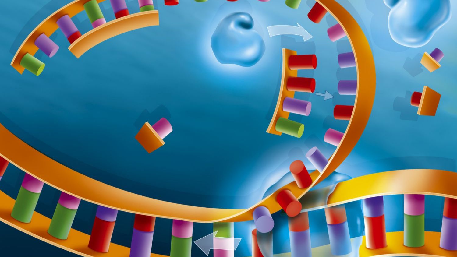 RNA in DNA Replication