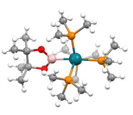 Transition Metal Complexes and Their Applications in Catalysis