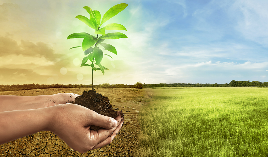 Adaptation to Climate Change
