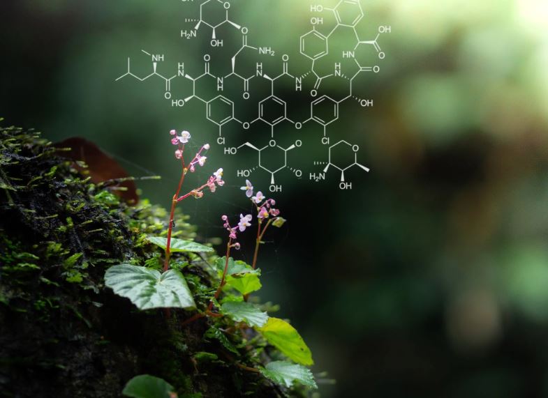 Metaverse Technology in Plant Science