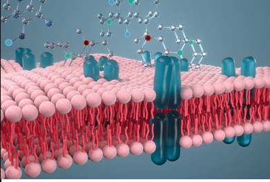 Lipids