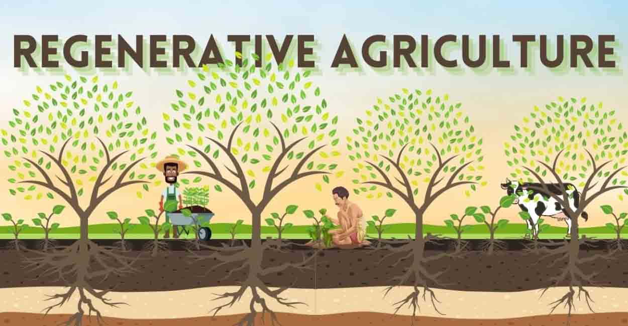 Regenerative Agriculture