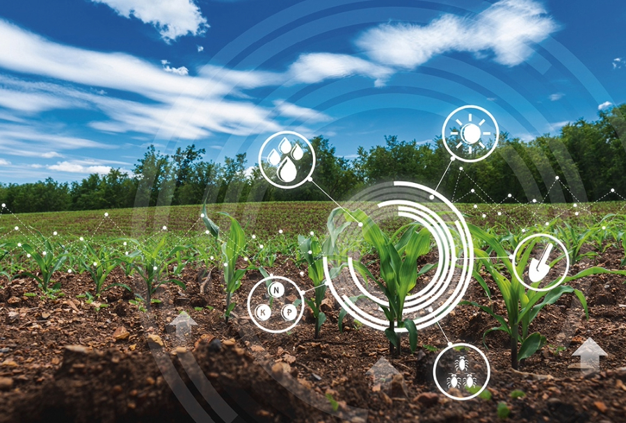 Microarray Technology and its Applicability in Soil Science