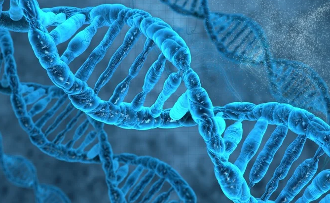 Fungal Genetics, Molecular Genetics and Genomics