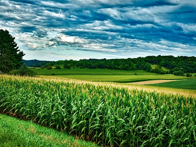 Biological Farming Practices