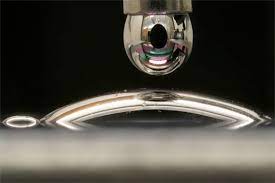 Spread Lipid Films on Liquid Surfaces