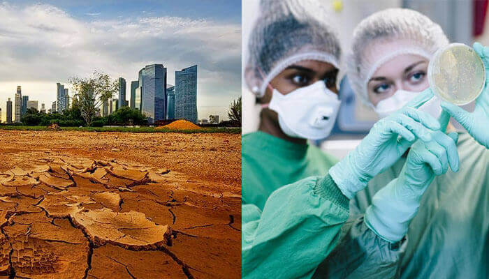 Soil Pollution Effects on Human Beings