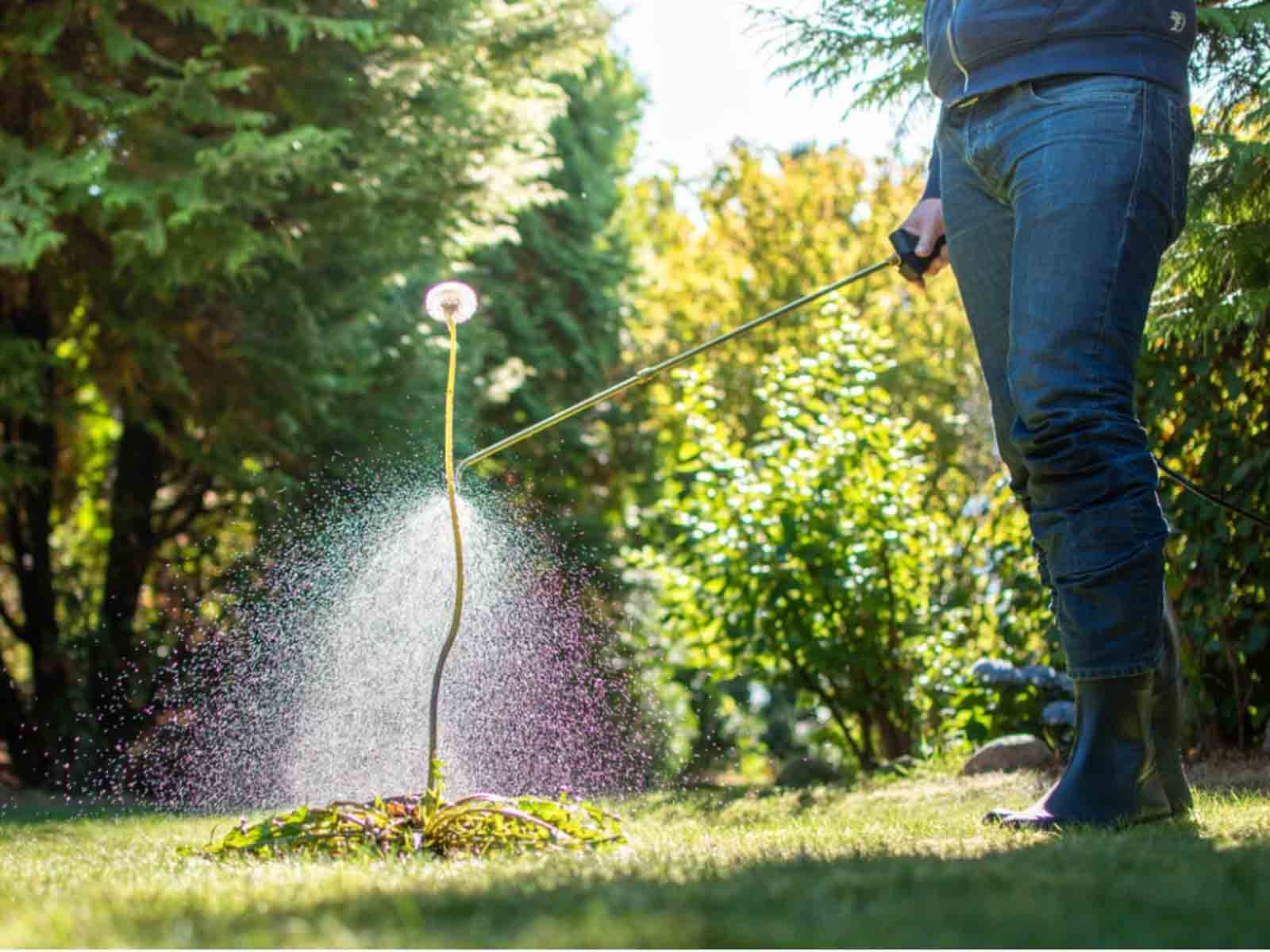 General Properties of Herbicide
