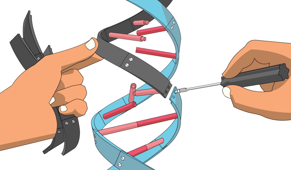 Biotechnology Benefits, Risks and Public Perception