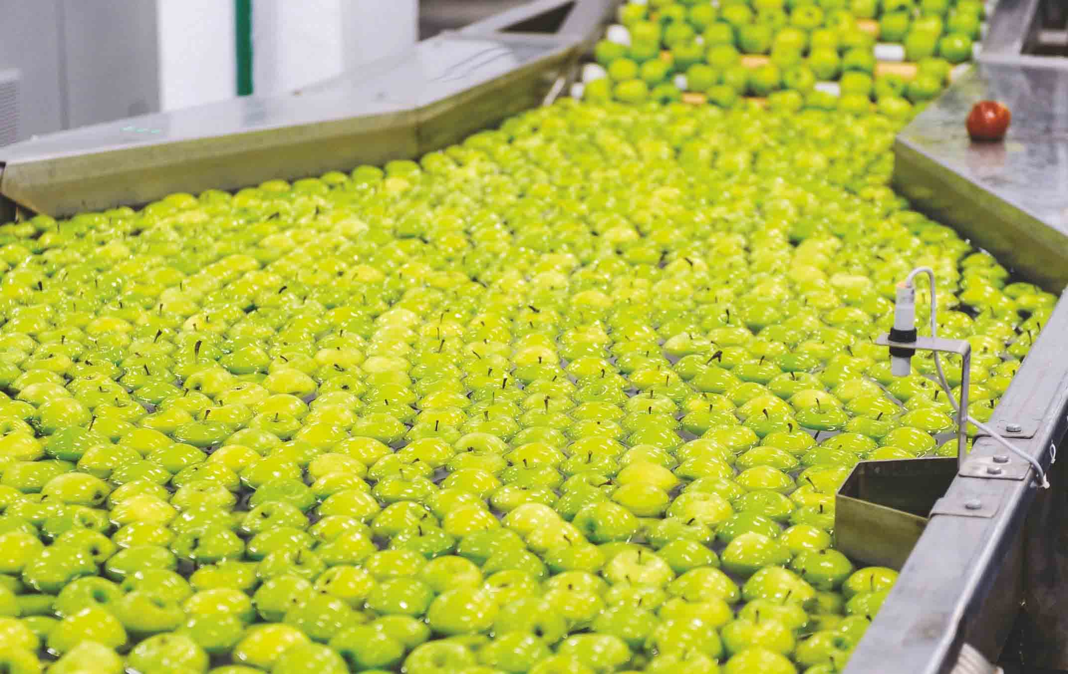 Fruits and Vegetables Technology