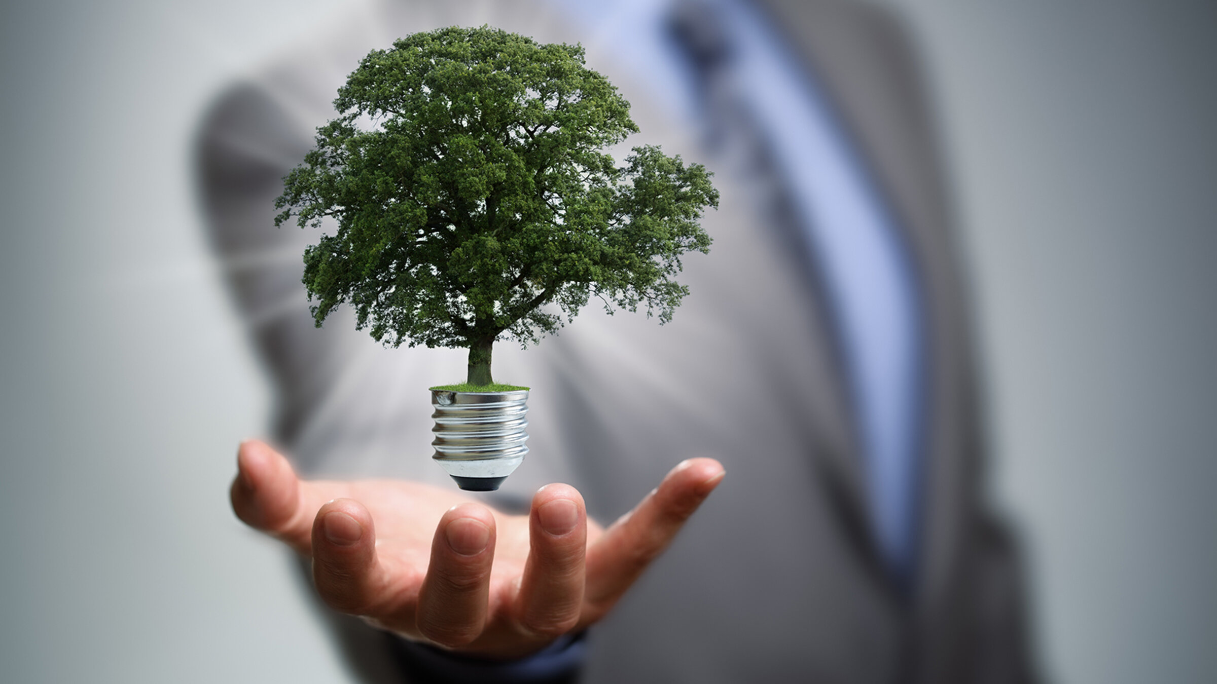 Sustainability Introduction