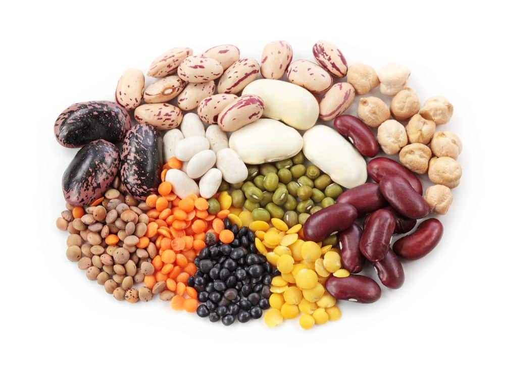 Multiple Biotic Stressors Elicit Differential Defense Responses in Legumes