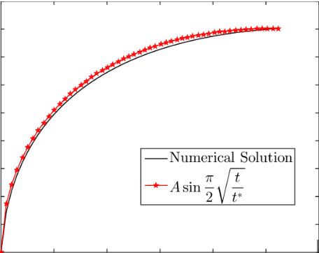 Numerical Differential Equations
