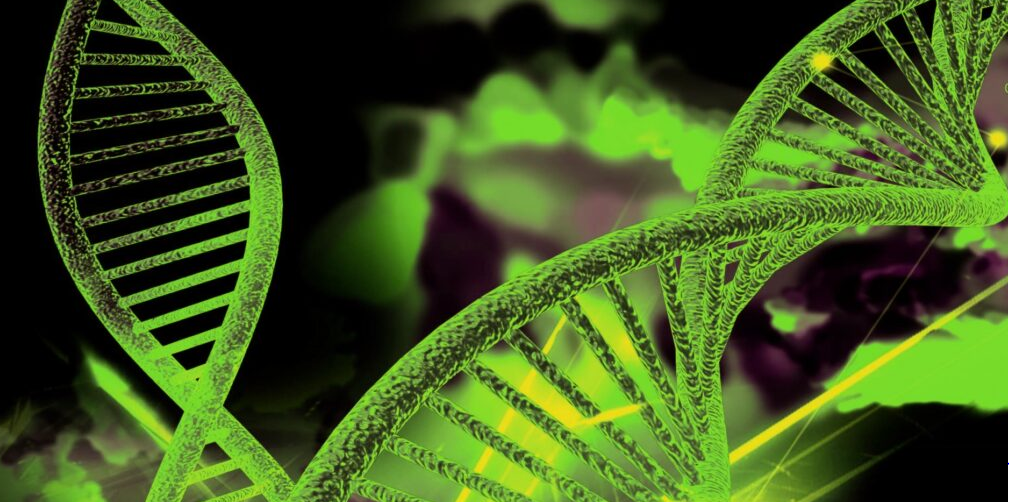 Plant Genomics