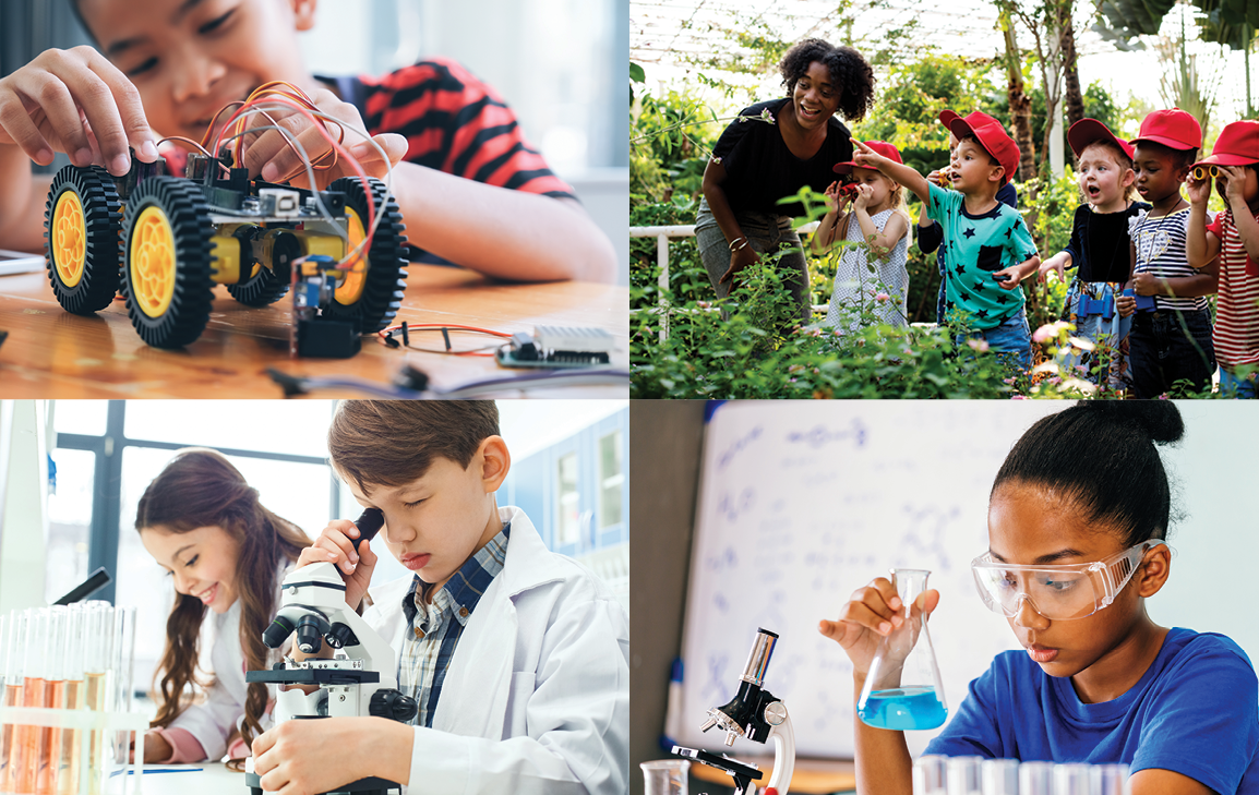 Critical Pedagogy for Science