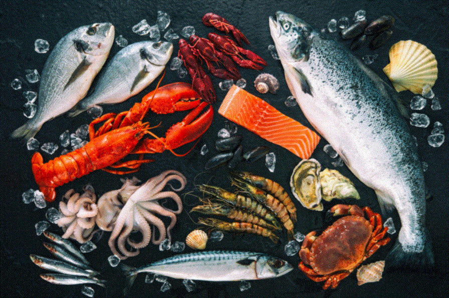 Introduction to Seafood Sciences