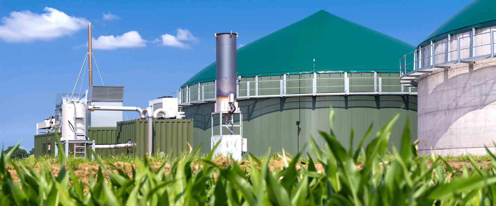  Biomass Energy