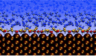Introduction to Solid and Liquid Interfaces
