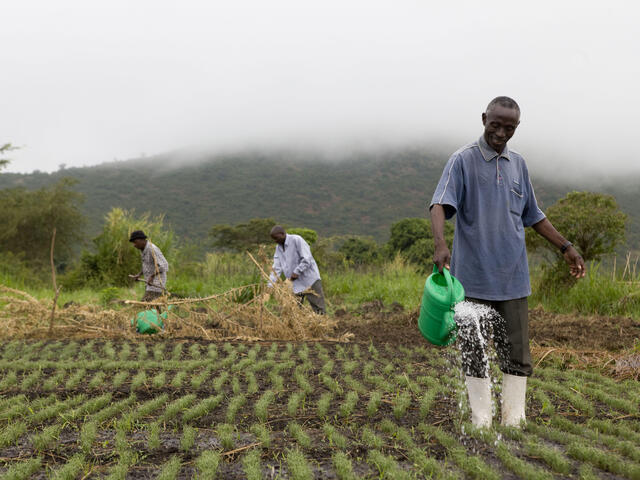 Culture, Society and Sustainable Agriculture