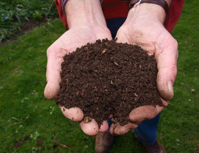 Vermicompost