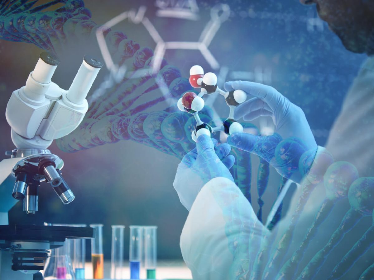 Pharmaceutical & Biotechnology