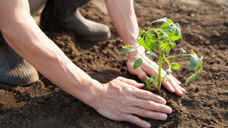 Land Degradation and Management