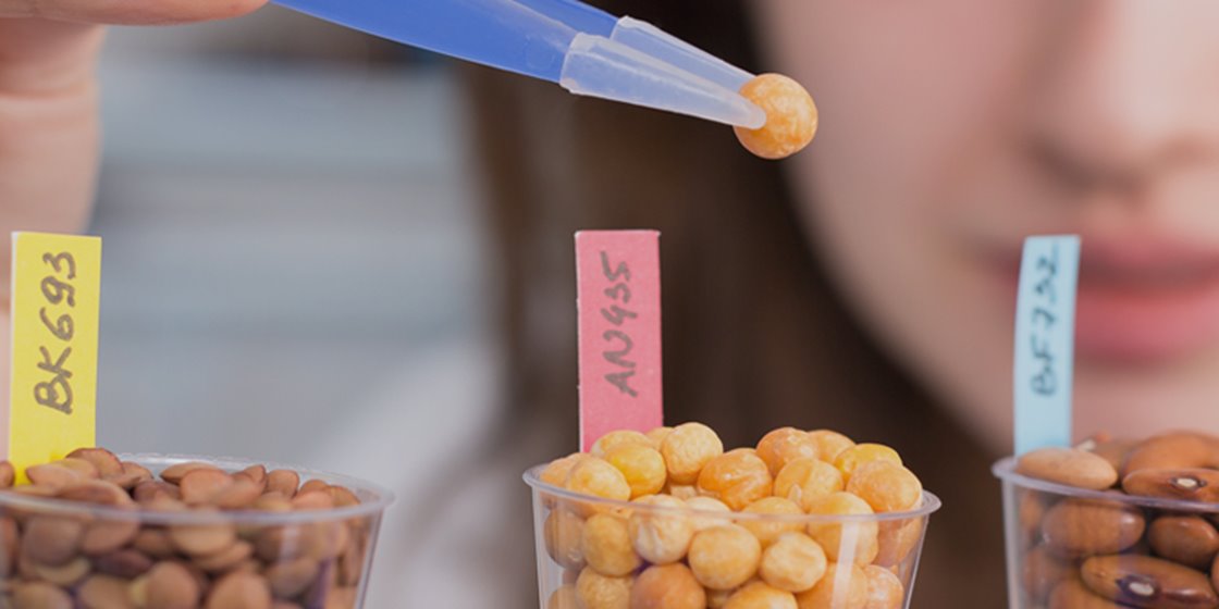 Food Quality and Safety