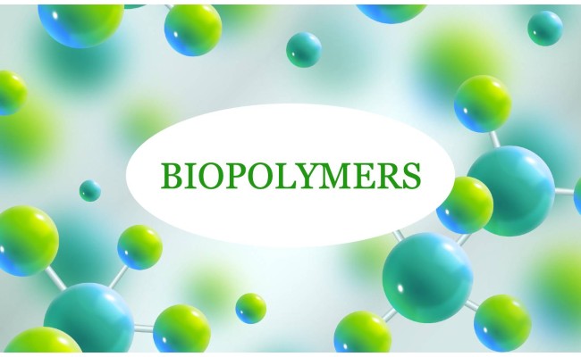 Biopolymers