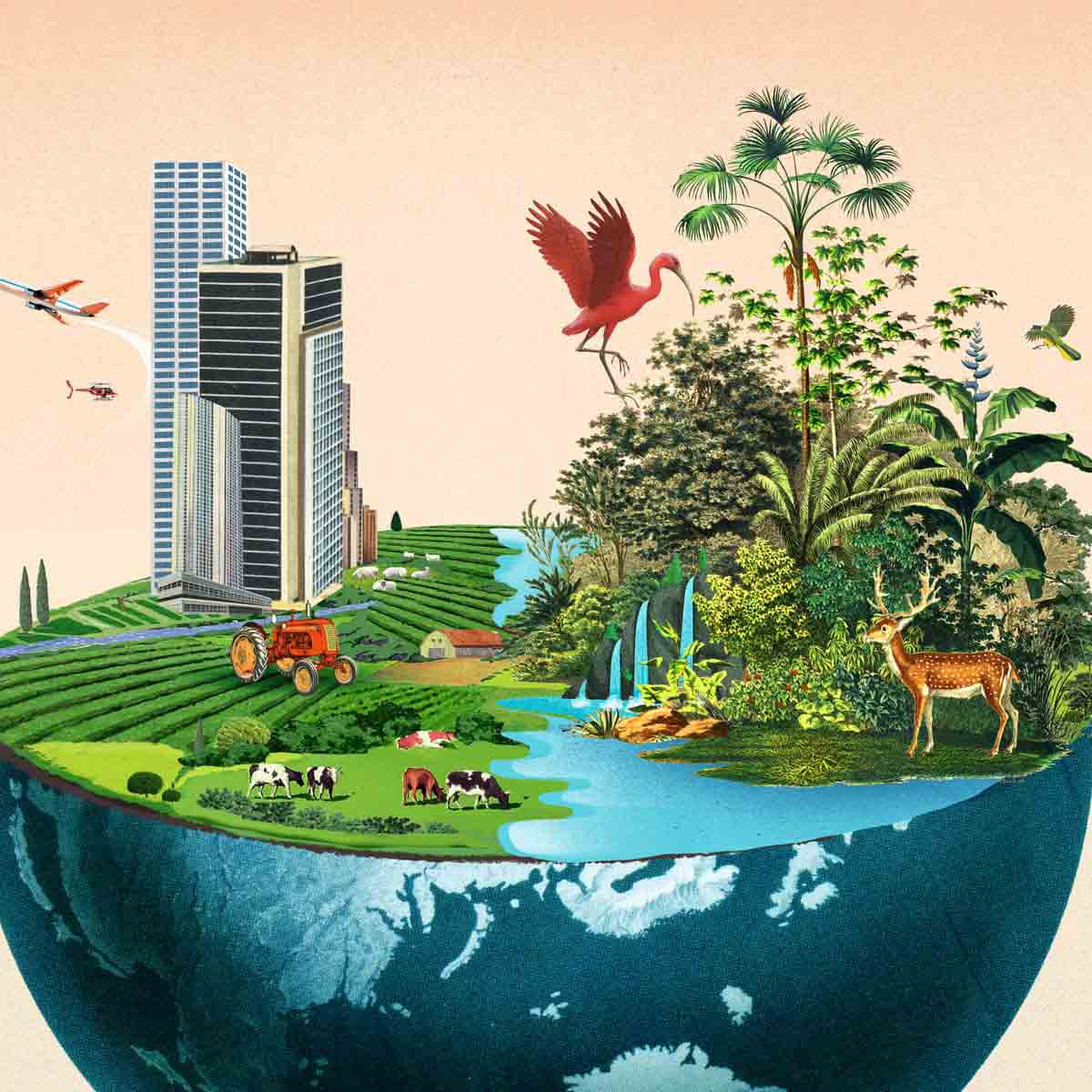 Origin and Evolution of Biodiversity