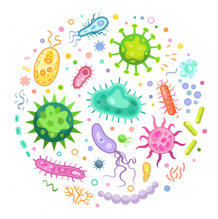 Introduction to Microbiology