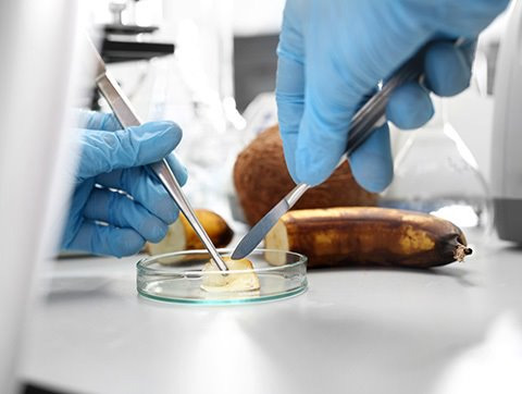 Food Technologies and Public Health