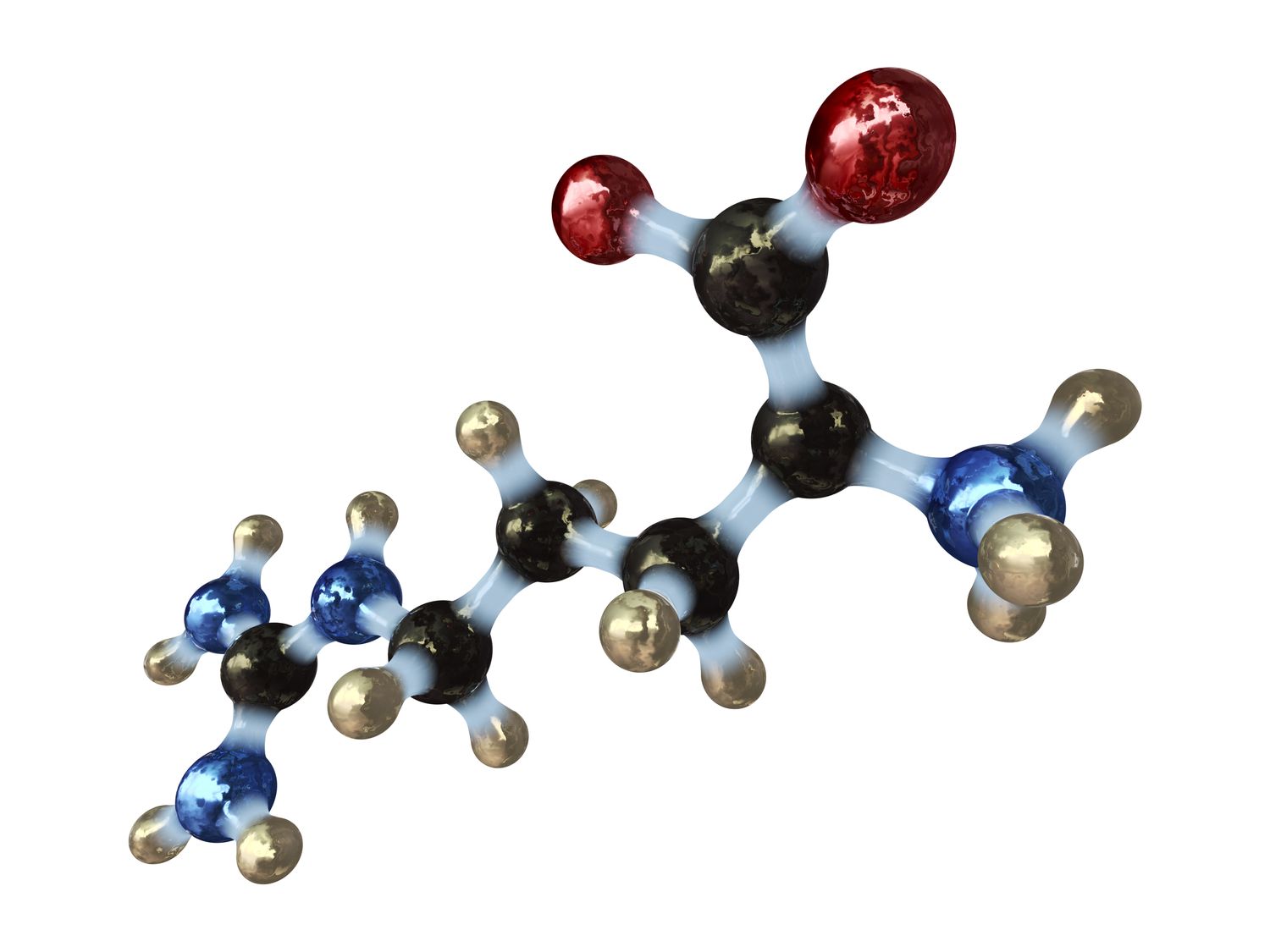 Amino Acid