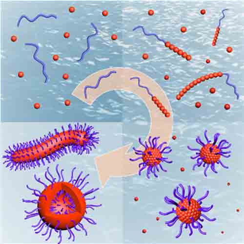 Insoluble Monolayers on Different Types of Interfaces: Bubble and Liquid Interfaces
