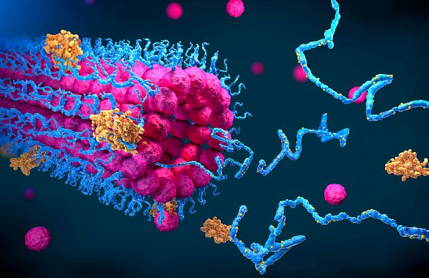 Protein Engineering