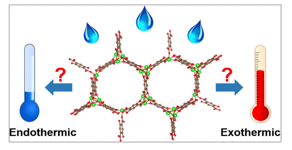 Fundamental Clarification of Thermodynamic Phenomena in Water