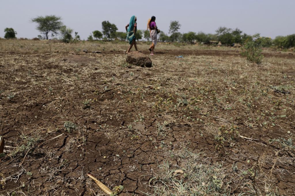Climate Change: The Impacts on Food Security and Livelihoods in Asia