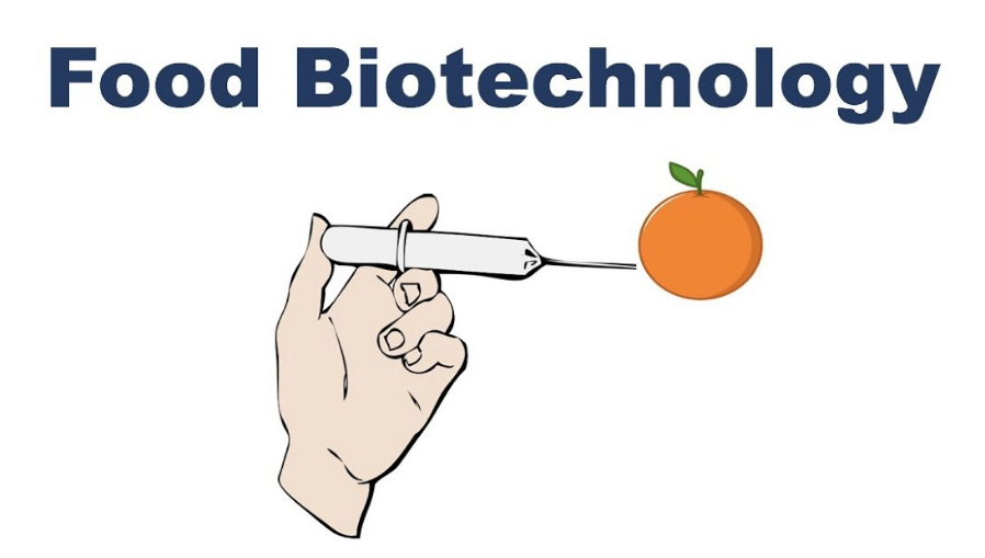 Food Biotechnology