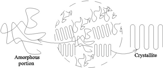 Polymer Morphology