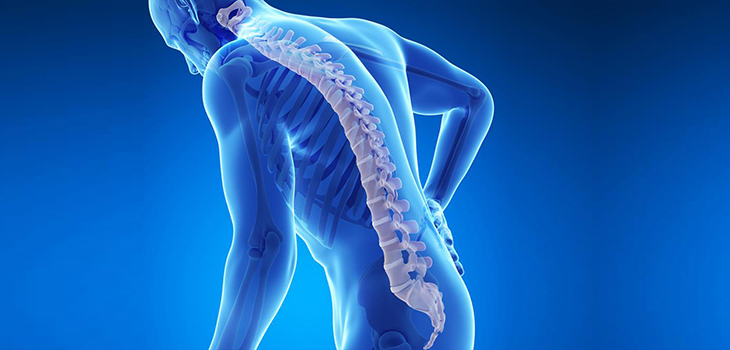 Apoptosis Implication in Osteoporosis