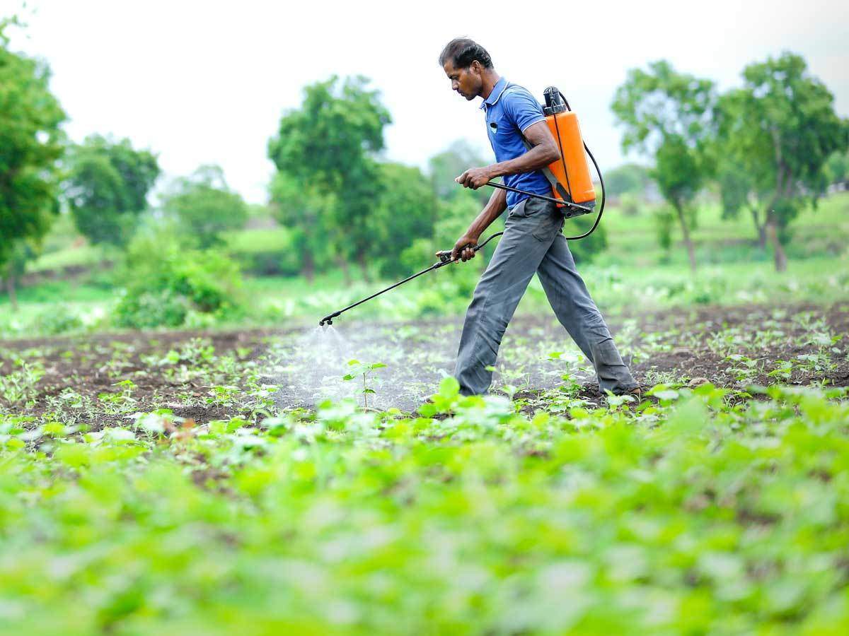 Agrochemicals Application on Soil Quality Degradation