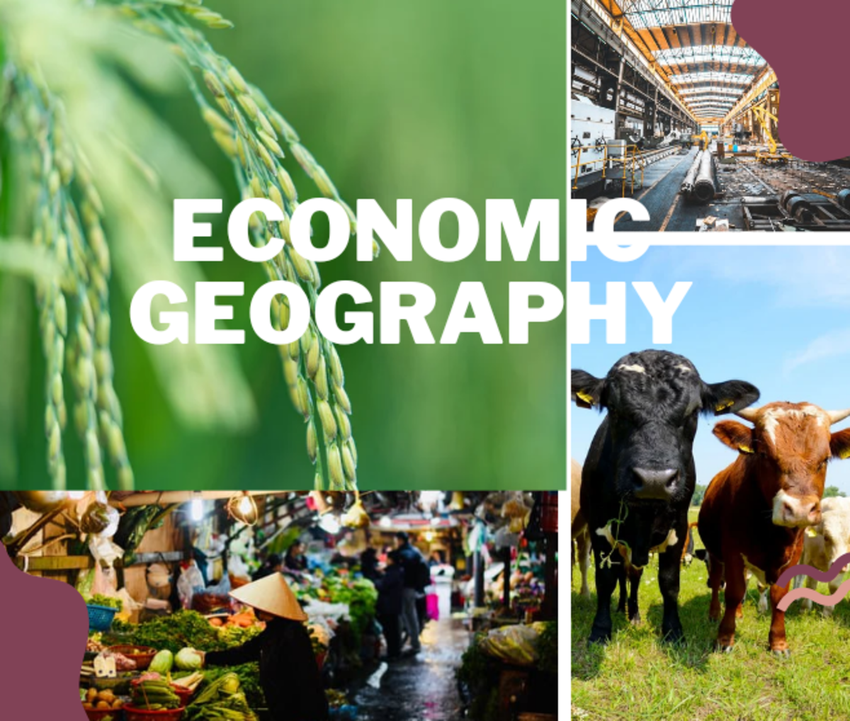 Economic Geography