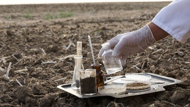 Soil Analysis