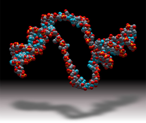 Biomolecular Spectroscopy