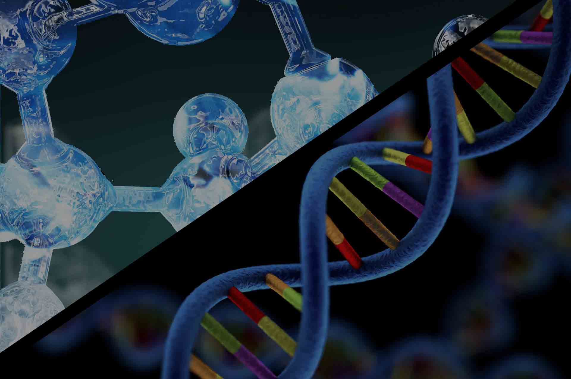Computational Chemogenomics