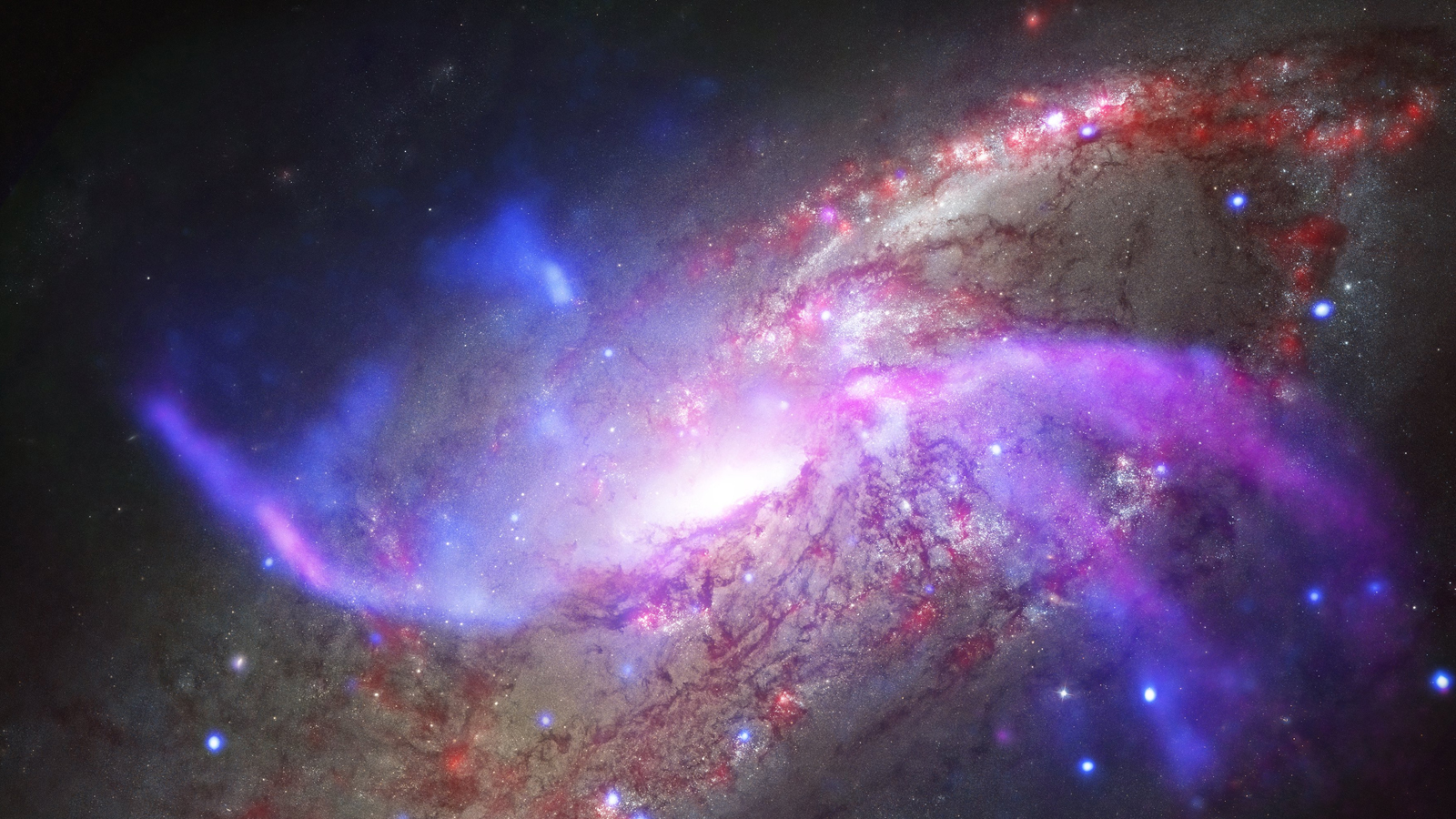 Cosmology and Astroparticle Physics